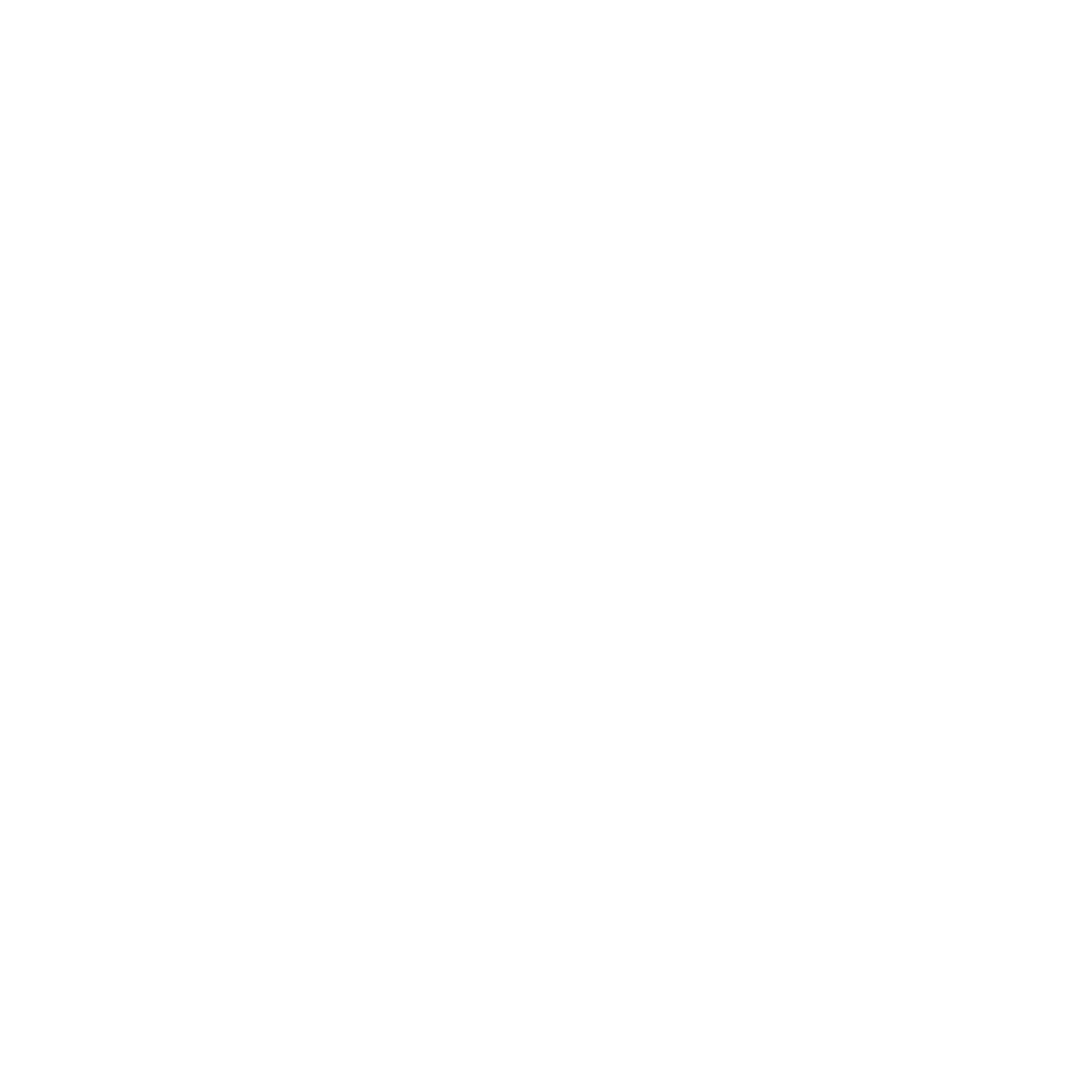 logo icon